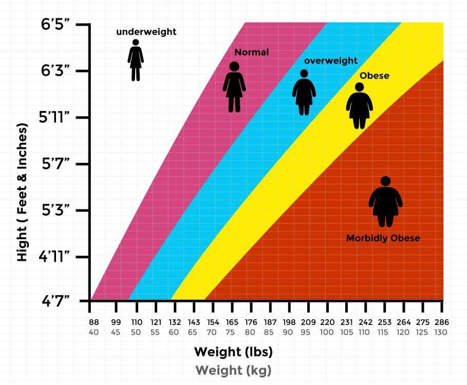 BMI-graph