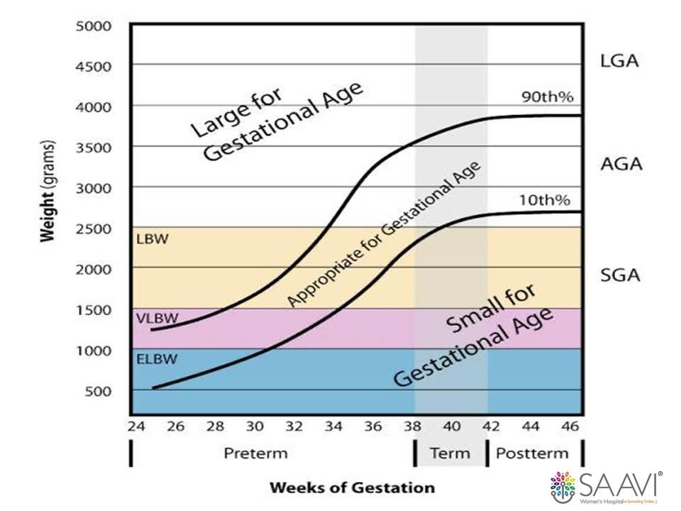 Estimated Fetal Wight Chart